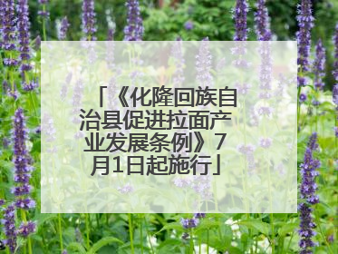《化隆回族自治县促进拉面产业发展条例》7月1日起施行