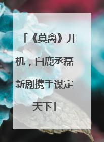《莫离》开机，白鹿丞磊新剧携手谋定天下
