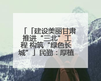 「建设美丽甘肃 推进“三北”工程 构筑“绿色长城”」民勤：厚植生态底色 筑牢绿色屏障