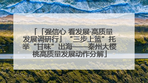 「强信心 看发展·高质量发展调研行」“三步上篮”托举“甘味”出海——秦州大樱桃高质量发展动作分解