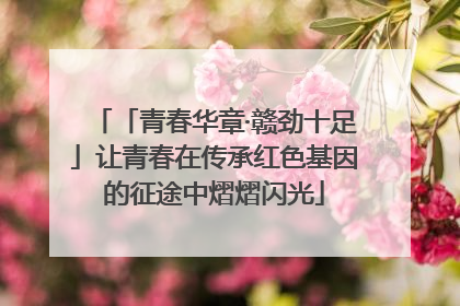 「青春华章·赣劲十足」让青春在传承红色基因的征途中熠熠闪光