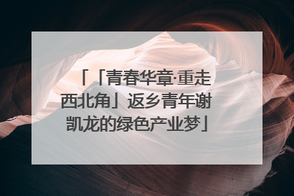 「青春华章·重走西北角」返乡青年谢凯龙的绿色产业梦