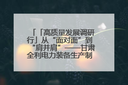 「高质量发展调研行」从“面对面”到“肩并肩”——甘肃全利电力装备生产制造项目一线见闻