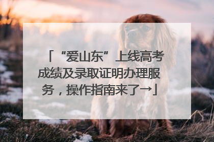 “爱山东”上线高考成绩及录取证明办理服务，操作指南来了→
