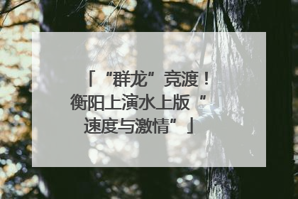 “群龙”竞渡！衡阳上演水上版“速度与激情”