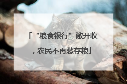 “粮食银行”敞开收，农民不再愁存粮