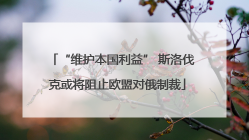 “维护本国利益” 斯洛伐克或将阻止欧盟对俄制裁