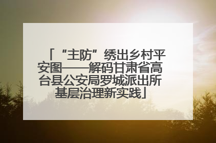 “主防”绣出乡村平安图——解码甘肃省高台县公安局罗城派出所基层治理新实践