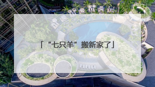 “七只羊”搬新家了