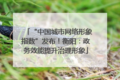 “中国城市网络形象指数”发布！衡阳：政务效能提升治理形象