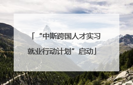“中斯跨国人才实习就业行动计划”启动