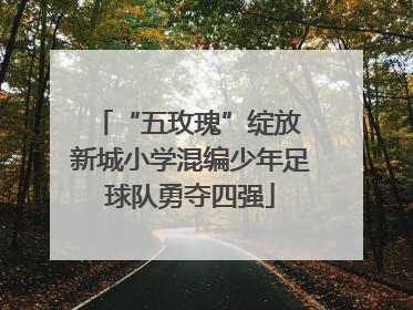 “五玫瑰”绽放 新城小学混编少年足球队勇夺四强