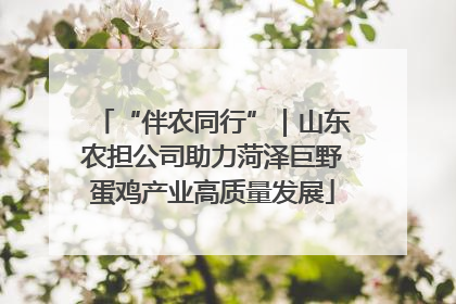 “伴农同行”｜山东农担公司助力菏泽巨野蛋鸡产业高质量发展
