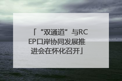 “双通道”与RCEP口岸协同发展推进会在怀化召开