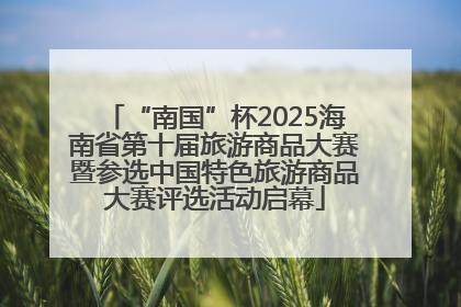 “南国”杯2025海南省第十届旅游商品大赛暨参选中国特色旅游商品大赛评选活动启幕