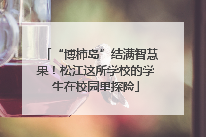 “博柿岛”结满智慧果！松江这所学校的学生在校园里探险