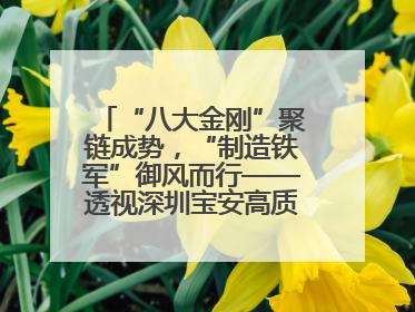 “八大金刚”聚链成势，“制造铁军”御风而行——透视深圳宝安高质量发展新活力