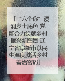 “六个你”浸润乡土底色 党群合力绘就乡村振兴新图景 辽宁省阜新市以民生温度激活乡村善治密码