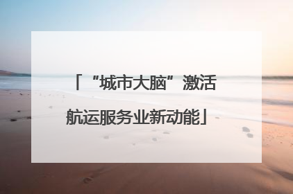 “城市大脑”激活航运服务业新动能