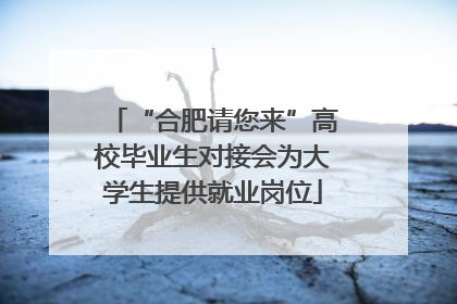 “合肥请您来”高校毕业生对接会为大学生提供就业岗位