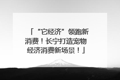 “它经济”领跑新消费！长宁打造宠物经济消费新场景！