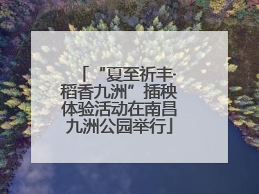 “夏至祈丰·稻香九洲”插秧体验活动在南昌九洲公园举行