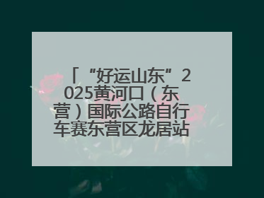 “好运山东”2025黄河口（东营）国际公路自行车赛东营区龙居站 完美“抄作业”，苦战最后时刻黄衫易主
