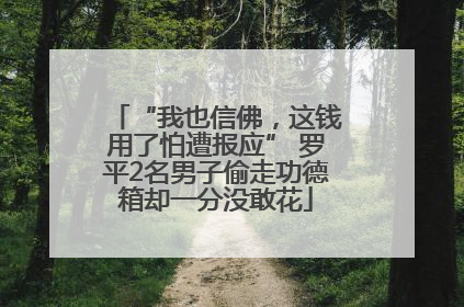 “我也信佛，这钱用了怕遭报应” 罗平2名男子偷走功德箱却一分没敢花