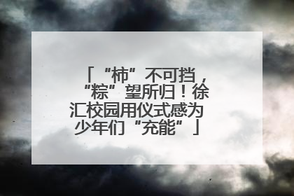 “柿”不可挡，“粽”望所归！徐汇校园用仪式感为少年们“充能”