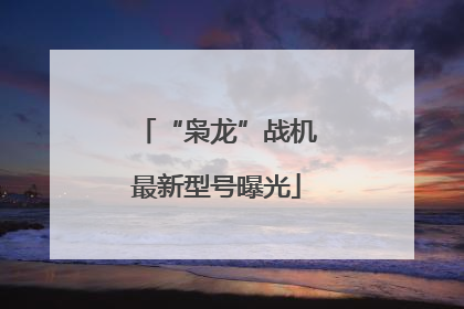 “枭龙”战机最新型号曝光