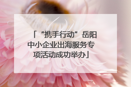 “携手行动”岳阳中小企业出海服务专项活动成功举办