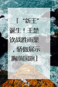 “新王”诞生！王楚钦战胜雨果，骄傲展示胸前国旗