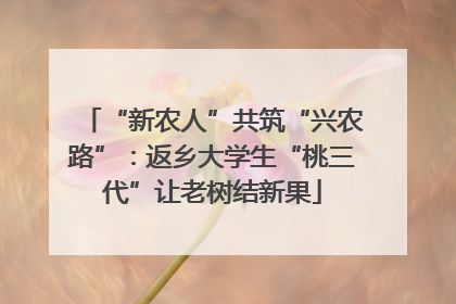 “新农人”共筑“兴农路”：返乡大学生“桃三代”让老树结新果