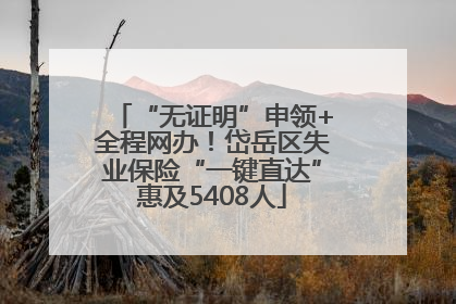 “无证明”申领+全程网办！岱岳区失业保险“一键直达”惠及5408人