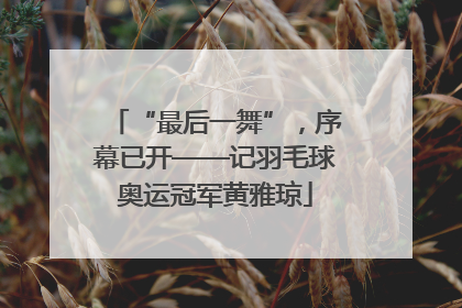 “最后一舞”，序幕已开——记羽毛球奥运冠军黄雅琼