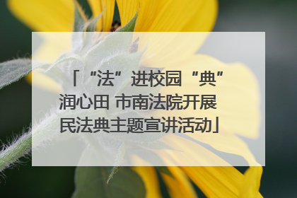 “法”进校园“典”润心田 市南法院开展民法典主题宣讲活动