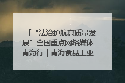 “法治护航高质量发展”全国重点网络媒体青海行｜青海食品工业协会：架起“青字号”美食的产业化桥梁