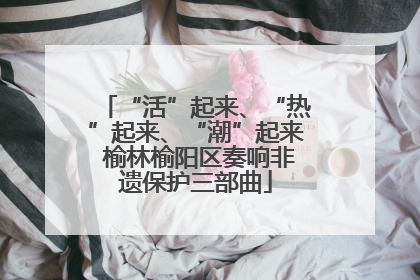 “活”起来、“热”起来、“潮”起来 榆林榆阳区奏响非遗保护三部曲