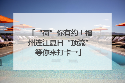 “荷”你有约！福州连江夏日“顶流”等你来打卡→