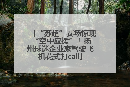 “苏超”赛场惊现 “空中应援”！扬州球迷企业家驾驶飞机花式打call