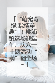 “萌宠奇缘 粽情童趣”！桃浦镇这场迎端午、庆六一主题活动“萌”翻全场～