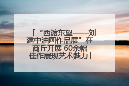 “西渡东望——刘建中油画作品展”在商丘开展 60余幅佳作展现艺术魅力