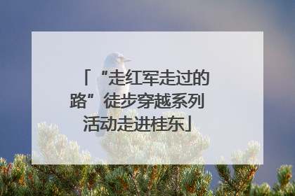 “走红军走过的路”徒步穿越系列活动走进桂东