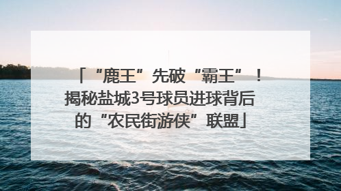 “鹿王”先破“霸王”！揭秘盐城3号球员进球背后的“农民街游侠”联盟