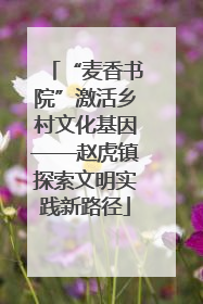 “麦香书院”激活乡村文化基因——赵虎镇探索文明实践新路径