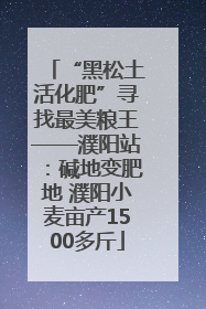 “黑松土活化肥”寻找最美粮王——濮阳站：碱地变肥地 濮阳小麦亩产1500多斤
