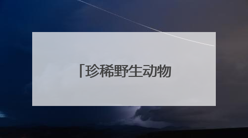 珍稀野生动物不断成为油城“常住民”
