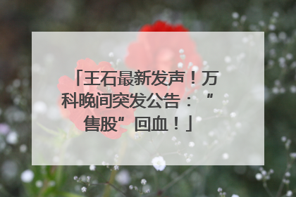 王石最新发声！万科晚间突发公告：“售股”回血！