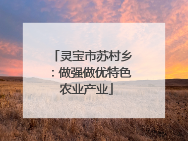 灵宝市苏村乡：做强做优特色农业产业