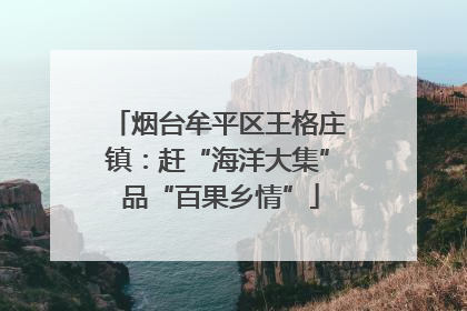 烟台牟平区王格庄镇：赶“海洋大集” 品“百果乡情”